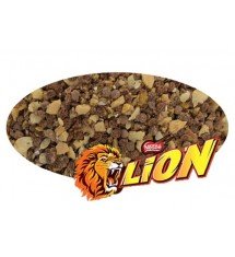 Lion crunch